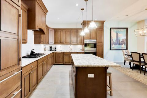 Tiny photo for 208 N Park Drive, Chicago, IL 60601 (MLS # 12603067)