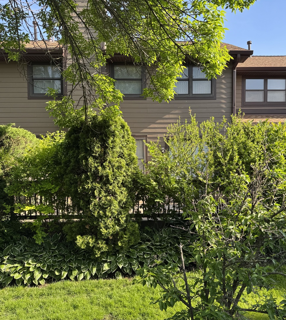 37 White Birch Lane