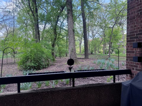 Tiny photo for 1401 Burr Oak Road #105B, Hinsdale, IL 60521 (MLS # 12554839)
