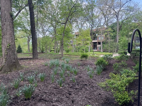 Tiny photo for 1401 Burr Oak Road #105B, Hinsdale, IL 60521 (MLS # 12554839)