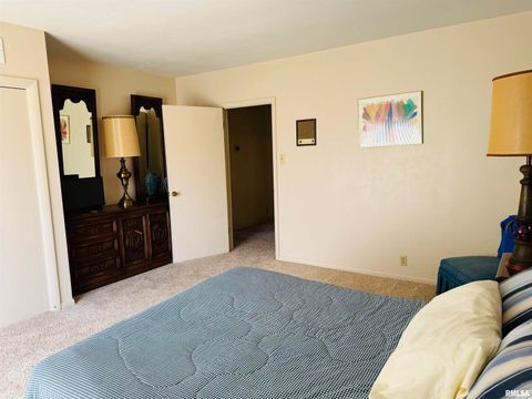 Tiny photo for 800 S GREEN Street, Anna, IL 62906 (MLS # EB456751)