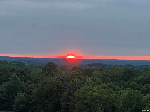 Tiny photo for 800 S GREEN Street, Anna, IL 62906 (MLS # EB456751)