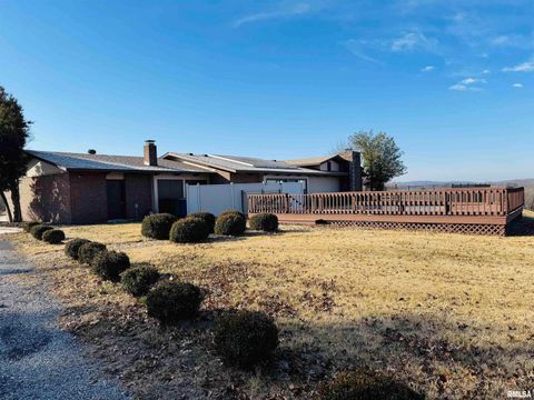 Tiny photo for 800 S GREEN Street, Anna, IL 62906 (MLS # EB456751)