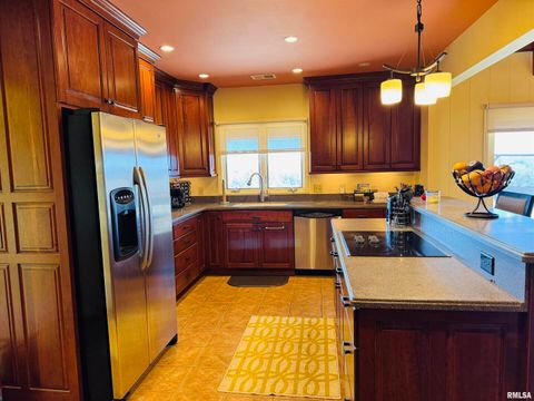 Tiny photo for 800 S GREEN Street, Anna, IL 62906 (MLS # EB456751)