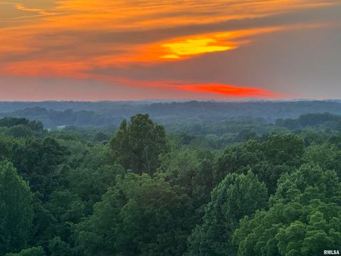 Tiny photo for 800 S GREEN Street, Anna, IL 62906 (MLS # EB456751)