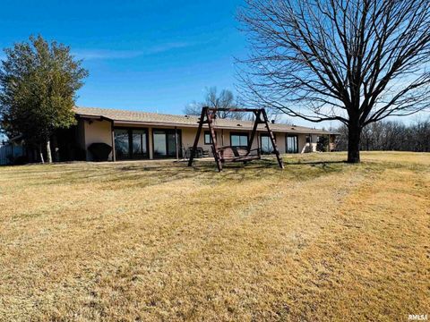 Tiny photo for 800 S GREEN Street, Anna, IL 62906 (MLS # EB456751)