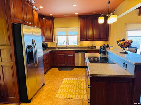 Tiny photo for 800 S GREEN Street, Anna, IL 62906 (MLS # EB456751)