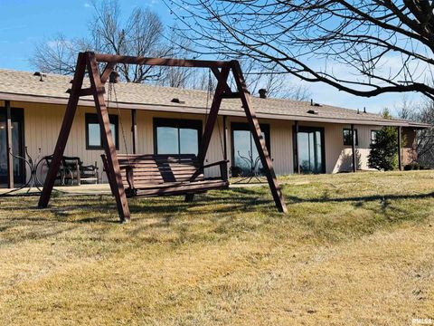 Tiny photo for 800 S GREEN Street, Anna, IL 62906 (MLS # EB456751)