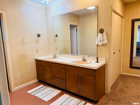 Tiny photo for 800 S GREEN Street, Anna, IL 62906 (MLS # EB456751)