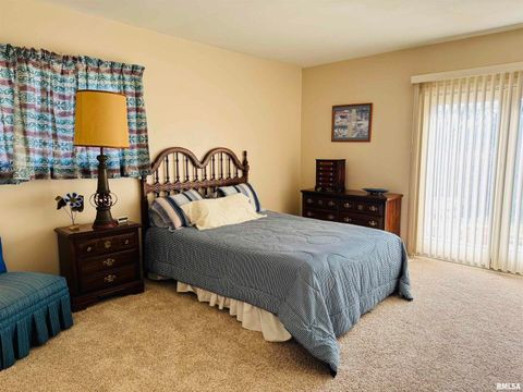 Tiny photo for 800 S GREEN Street, Anna, IL 62906 (MLS # EB456751)