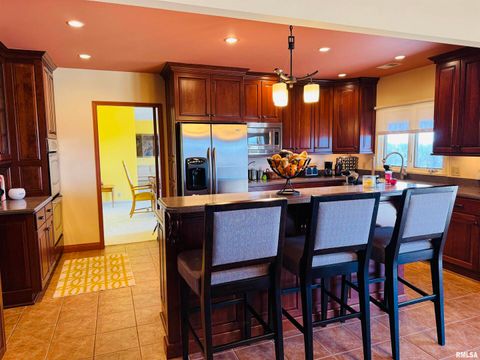 Tiny photo for 800 S GREEN Street, Anna, IL 62906 (MLS # EB456751)