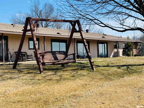 Tiny photo for 800 S GREEN Street, Anna, IL 62906 (MLS # EB456751)