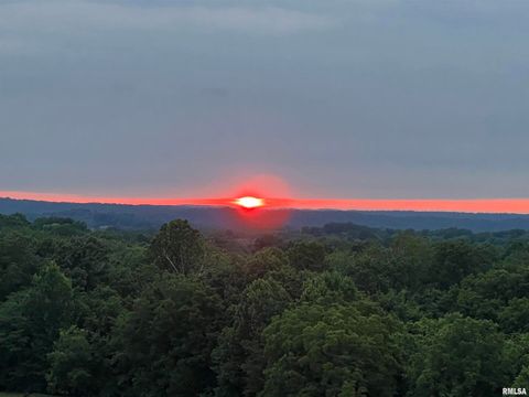 Tiny photo for 800 S GREEN Street, Anna, IL 62906 (MLS # EB456751)