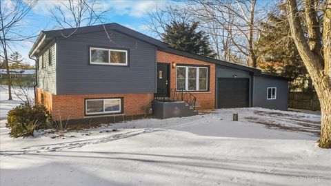 1004 S Grove Avenue Barrington IL 60010