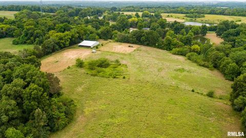 Tiny photo for 1385 Christian Chapel Road, Anna, IL 62906 (MLS # QC4266653)