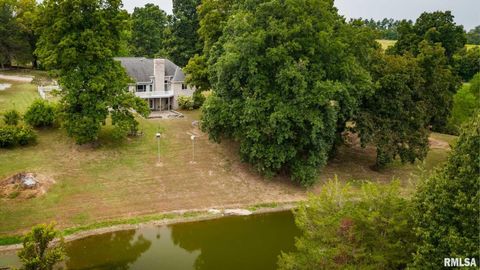 Tiny photo for 1385 Christian Chapel Road, Anna, IL 62906 (MLS # QC4266653)