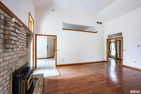 Tiny photo for 1385 Christian Chapel Road, Anna, IL 62906 (MLS # QC4266653)