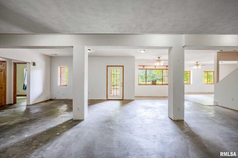 Tiny photo for 1385 Christian Chapel Road, Anna, IL 62906 (MLS # QC4266653)