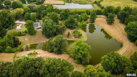 Tiny photo for 1385 Christian Chapel Road, Anna, IL 62906 (MLS # QC4266653)