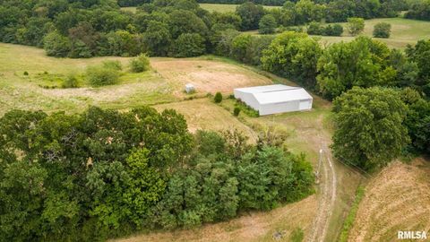 Tiny photo for 1385 Christian Chapel Road, Anna, IL 62906 (MLS # QC4266653)