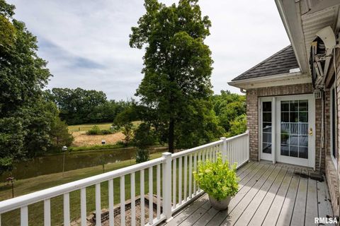 Tiny photo for 1385 Christian Chapel Road, Anna, IL 62906 (MLS # QC4266653)