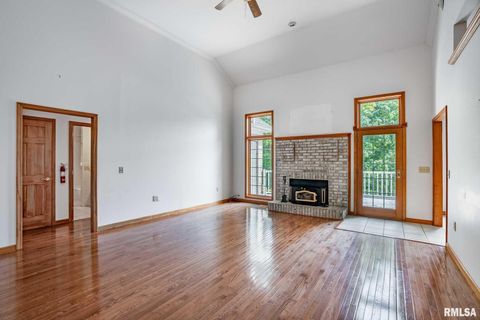 Tiny photo for 1385 Christian Chapel Road, Anna, IL 62906 (MLS # QC4266653)