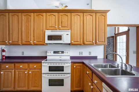 Tiny photo for 1385 Christian Chapel Road, Anna, IL 62906 (MLS # QC4266653)