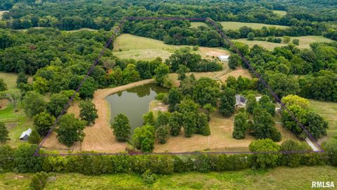 Photo of 1385 Christian Chapel Road, Anna, IL 62906 (MLS # QC4266653)