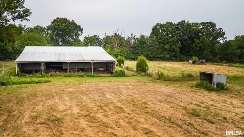 Tiny photo for 1385 Christian Chapel Road, Anna, IL 62906 (MLS # QC4266653)