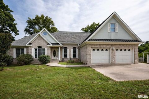 Tiny photo for 1385 Christian Chapel Road, Anna, IL 62906 (MLS # QC4266653)