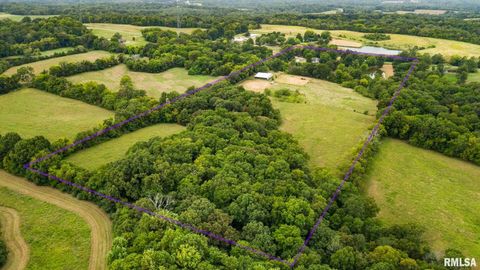 Tiny photo for 1385 Christian Chapel Road, Anna, IL 62906 (MLS # QC4266653)