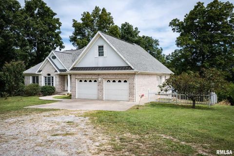 Tiny photo for 1385 Christian Chapel Road, Anna, IL 62906 (MLS # QC4266653)