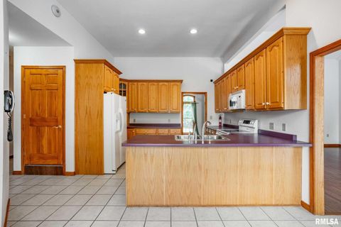 Tiny photo for 1385 Christian Chapel Road, Anna, IL 62906 (MLS # QC4266653)