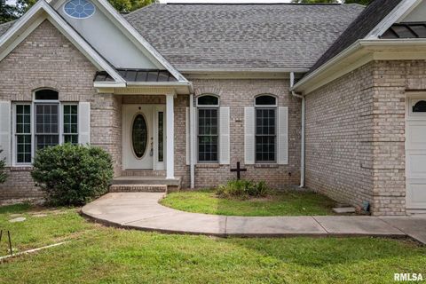 Tiny photo for 1385 Christian Chapel Road, Anna, IL 62906 (MLS # QC4266653)