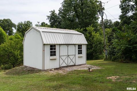 Tiny photo for 1385 Christian Chapel Road, Anna, IL 62906 (MLS # QC4266653)