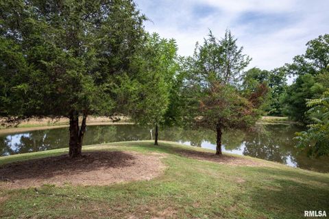 Tiny photo for 1385 Christian Chapel Road, Anna, IL 62906 (MLS # QC4266653)