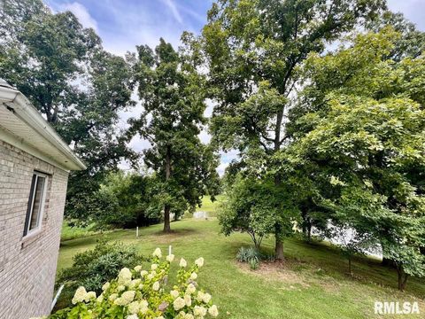 Tiny photo for 1385 Christian Chapel Road, Anna, IL 62906 (MLS # QC4266653)