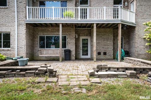 Tiny photo for 1385 Christian Chapel Road, Anna, IL 62906 (MLS # QC4266653)