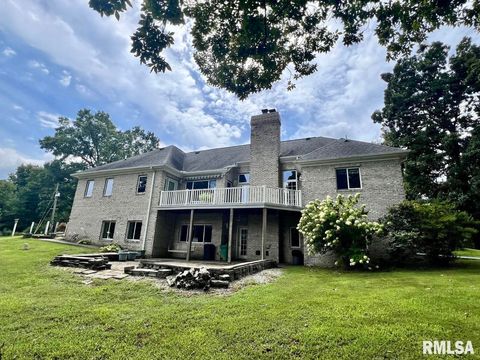 Tiny photo for 1385 Christian Chapel Road, Anna, IL 62906 (MLS # QC4266653)