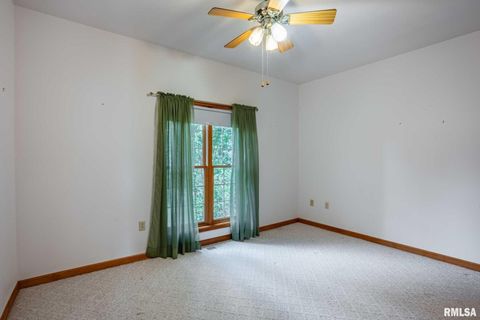 Tiny photo for 1385 Christian Chapel Road, Anna, IL 62906 (MLS # QC4266653)