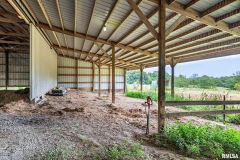 Tiny photo for 1385 Christian Chapel Road, Anna, IL 62906 (MLS # QC4266653)