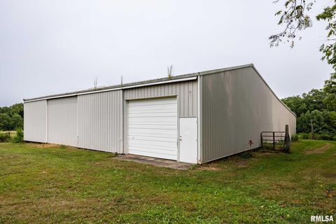 Tiny photo for 1385 Christian Chapel Road, Anna, IL 62906 (MLS # QC4266653)