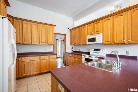 Tiny photo for 1385 Christian Chapel Road, Anna, IL 62906 (MLS # QC4266653)