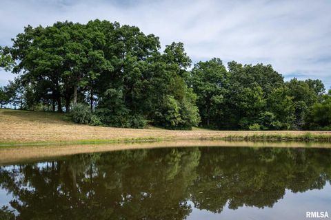 Tiny photo for 1385 Christian Chapel Road, Anna, IL 62906 (MLS # QC4266653)