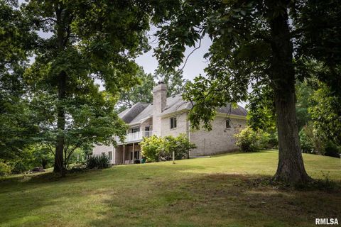 Tiny photo for 1385 Christian Chapel Road, Anna, IL 62906 (MLS # QC4266653)