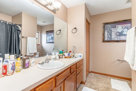 Tiny photo for 25308 S Mallard Drive, Channahon, IL 60410 (MLS # 12525798)