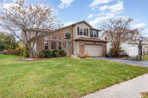 Tiny photo for 25308 S Mallard Drive, Channahon, IL 60410 (MLS # 12525798)