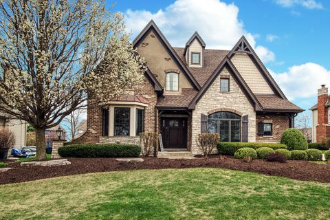 25538 Prairiewood Lane Shorewood IL 60404