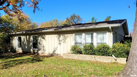 Tiny photo for 202 Westernaire Drive, Marion, IL 62959 (MLS # EB460584)