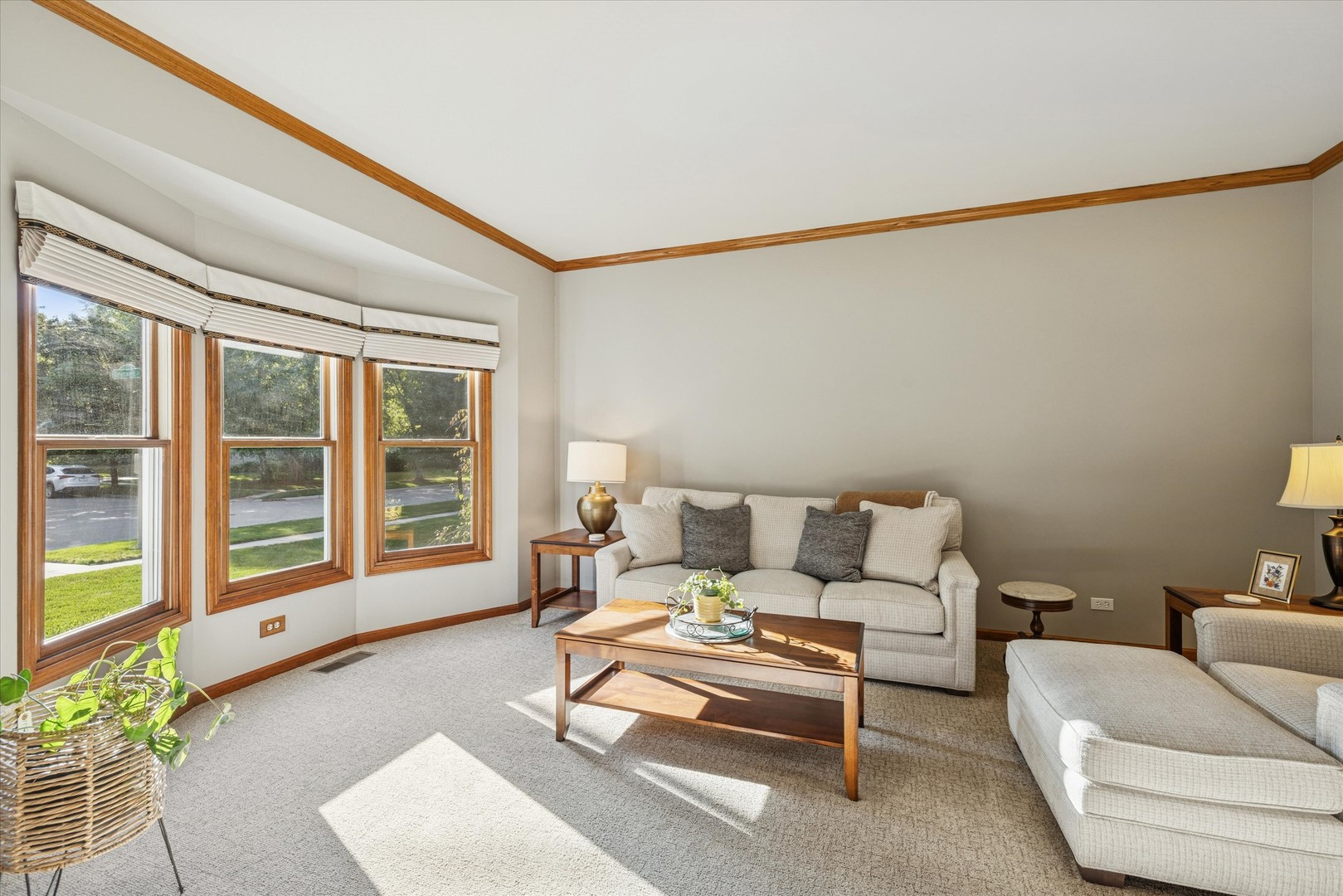 542 Blackthorn Drive